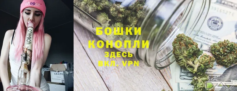 Канабис OG Kush  Каменка 